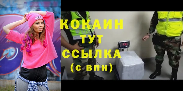 mdpv Бородино