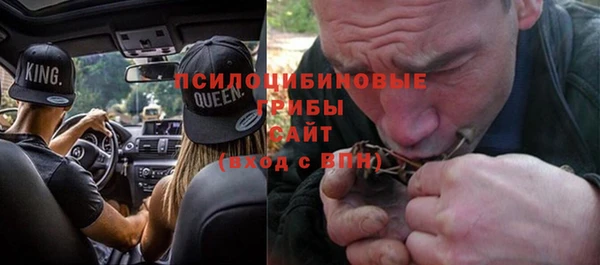 PSILOCYBIN Магас