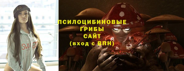 спиды Майский