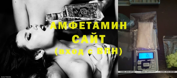 ГАЛЛЮЦИНОГЕННЫЕ ГРИБЫ Гусев