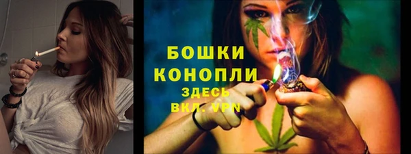 спиды Майский