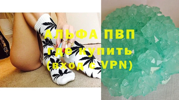 PSILOCYBIN Магас