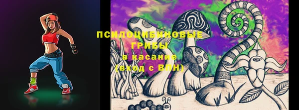 2c-b Медвежьегорск